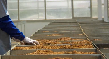 Tütün mamulleri üretim ve ticaretine yeni ayar