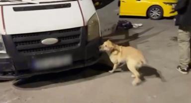 Kayseri’de rekor operasyon