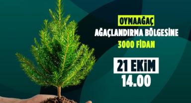 38 Bin Fidan Dikiliyor