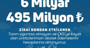 ÇKS’li üreticilere 6,4 milyar TL daha destek ödemesi