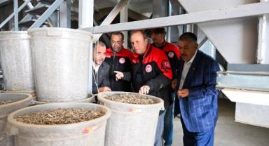  Tarım İl Müdürü Saklav’dan çekirdek işletmesine ziyaret