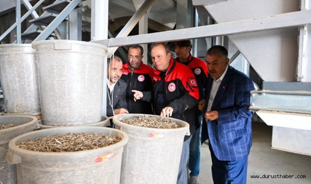Tarım İl Müdürü Saklav’dan çekirdek işletmesine ziyaret