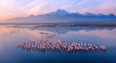 Turizm Geliri Üçüncü Çeyrekte Yükseldi: 24,2 Milyar Dolar