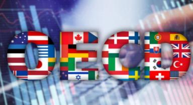 Türkiye, OECD’nin En Hızlı Büyüyen İkinci Ülkesi Oldu