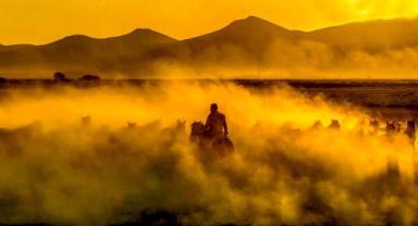 Kayseri Hürmetçi Sazlığı'nda Yılkı Atları