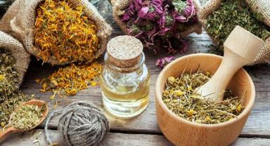 En Faydalı 10 Şifalı Bitki