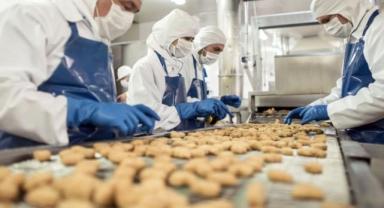 İmalat sanayinde büyüme istihdama güçlü yansıdı