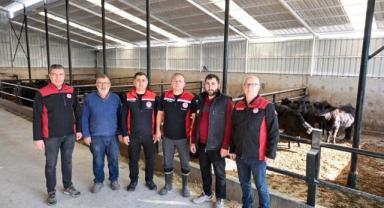 Kayseri’de Kırsalda Bereket Projesiyle 30 Gebe Düve Teslimi