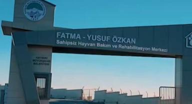 Sahipsiz Canlara Şefkat Eli: Özkan Bakım Merkezi Umut Oldu