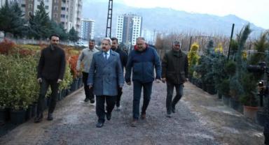 2026 Ağaçlandırma Yılı Olacak