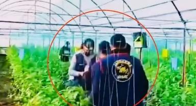 7 Yıllık Kaçış Sona Erdi: Cinayet Zanlısı Serada Yakalandı