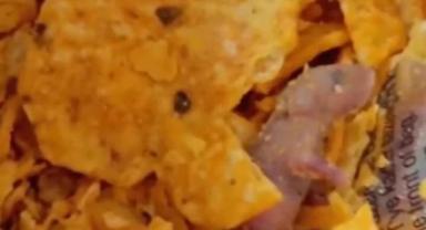 Adana’da Doritos’tan İki Ölü Fare Çıkması Skandal Yarattı