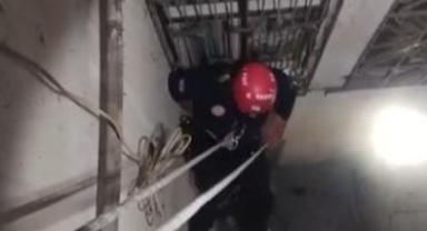 Büyükşehir İtfaiyesi Tofu’yu Kurtardı