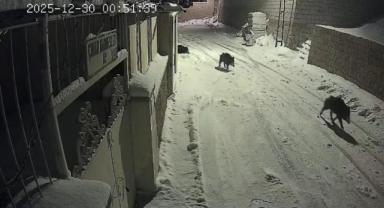 Kayseri Yahyalı’da Nadir An