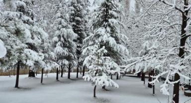 Yahyalı’da Kar Sürprizi
