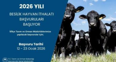 2026’da Besilik Hayvan İthalatı Başvurular Başlıyor