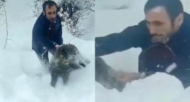 Ağzında Sigara İle Tek Elle Domuz Yakalayan Adam Sosyal Medyanın Gündemine Oturdu!