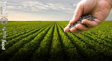 Ata Tohumları Kocasinan’da Yeniden Toprakla Buluştu