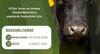 Besilik hayvan ithalatı başvuru tarihleri ertelendi