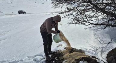 Bünyan Belediyesi'nden Sokak Hayvanlarına Yem Desteği