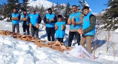 Develi'de Erciyes Yabanına Diyanet Desteği!