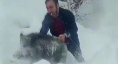 Domuz Yavrusunu Yakaladı, Paylaşımı Pahalıya Patladı