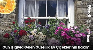 Gün Işığıyla Gelen Güzellik: Ev Çiçeklerinin Bakımı