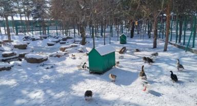  Kayseri Beştepeler 'de Kartpostallık Kış Manzarası