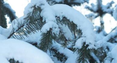 Kayseri’de Hafta İçi Kar Bekleniyor