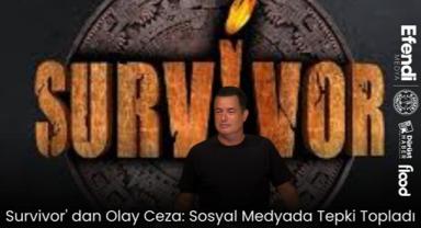 Survivor' da Olay Ceza: Kafalarından Örümcek Döktüler
