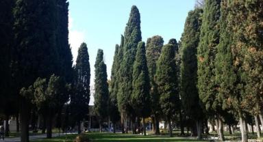 Topkapı’da Selvi Mesajı