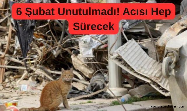 6 Şubat Unutulmadı! Acısı Hep Sürecek