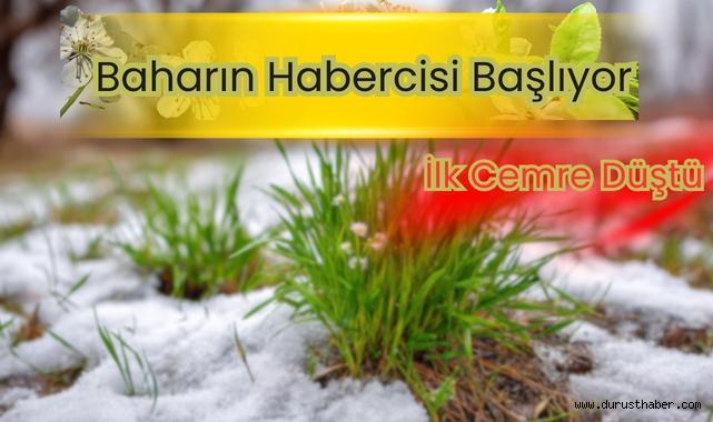 İlk Cemre Düştü! Baharın Habercisi Başlıyor