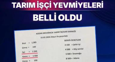 Çukurova Genelinde Tarım İşçisi Yevmiyeleri Netleşti