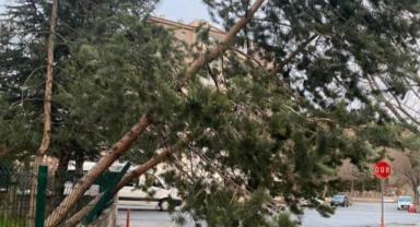 Kayseri’de Kuvvetli Rüzgar ve Sağanak Hayatı Olumsuz Etkiledi