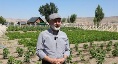 Kocasinan’da Üreticilere Ücretsiz Biber Tohumu Desteği