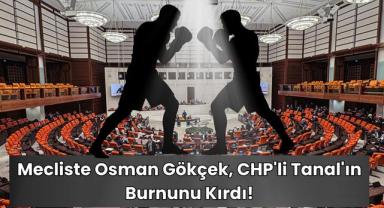 Mecliste Osman Gökçek, CHP'li Tanal'ın Burnunu Kırdı!