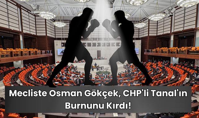 Mecliste Osman Gökçek, CHP'li Tanal'ın Burnunu Kırdı!