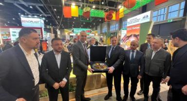 Meyve Sebze İhracatı: 513 Milyon Doları Aştı