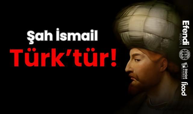 Tarihçi Afyoncu: Şah İsmail Türk'tür, Tartışma Bitti