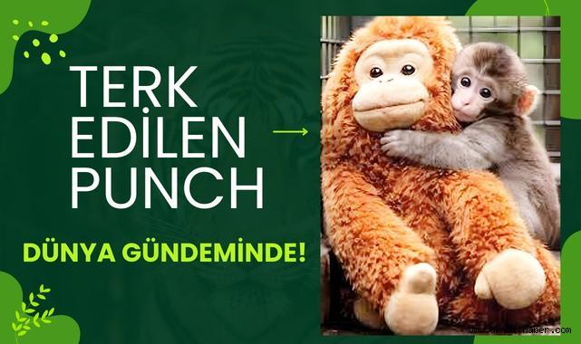 Terk Edilen Punch Dünya Gündeminde!