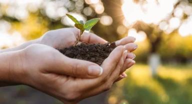 Baharın Son Müjdesi! Cemre Toprağa Düştü