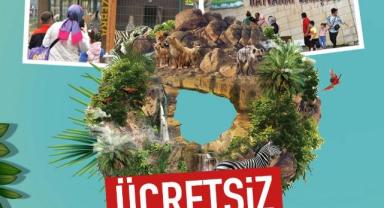 Kayseri’de Bayram Hediyesi: Hayvanat Bahçesi Ücretsiz Ziyarete Açılıyor