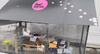 Kayseri’de Sokak Kedilerine Isıtmalı Kedi Evi Desteği