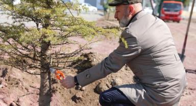 Kocasinan’da Ağaç Dikim Sezonu Başladı