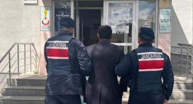 Köpeği Ağaca Asarak Öldüren Şahıs Gözaltında