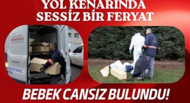 Yol Kenarında Sessiz Bir Feryat: Bebek Cansız Bulundu!