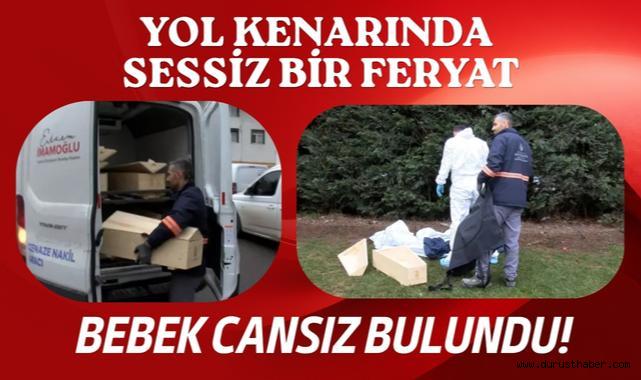 Yol Kenarında Sessiz Bir Feryat: Bebek Cansız Bulundu!
