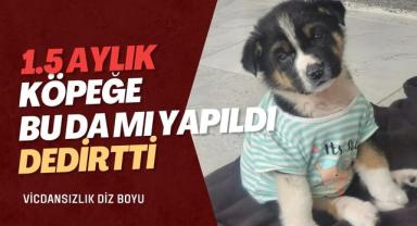 Çanakkale’de Yaşanan Olay “Yok Artık” Dedirtti