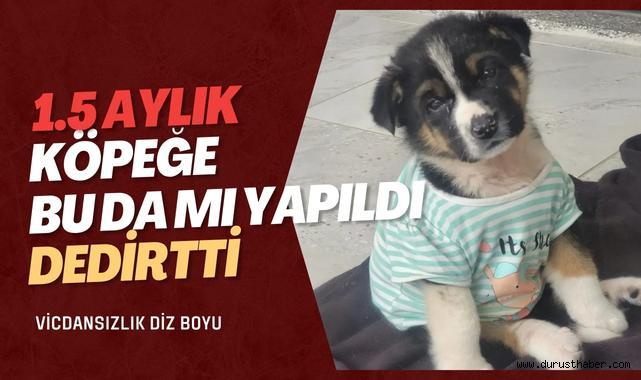 Çanakkale’de Yaşanan Olay “Yok Artık” Dedirtti